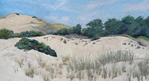 High Head Dunes by Phyllis Feld