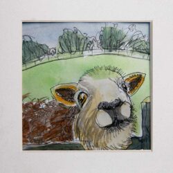 Pet Portrait Workshop Portrait by Helen — a sheep can be a pet!