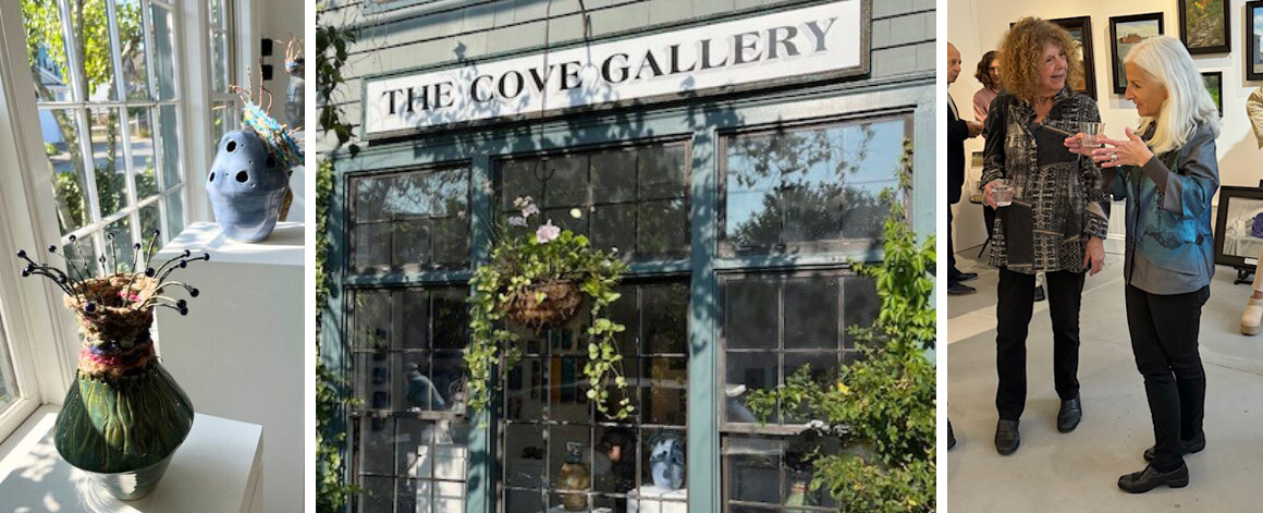 Cove Gallery 2025 Call for Proposals