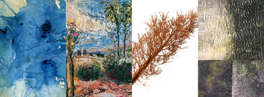 Healing of Art, Cove Gallery