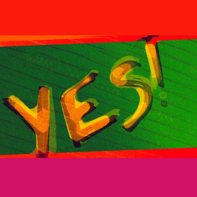 YES RNAC Members Show